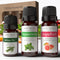Evergreen Holiday Essential Oil Kit Set of 3 Oils - Includes Wildcrafted