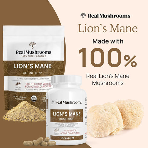 Lion’s Mane Powder - Organic Mushroom Extract with Antioxidants & Immunomodulating Properties - Vegan Supplement, 60