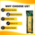 Sewak Al Hijazi Pack 12 Al Sudais Miswak Natural Toothbrush of | Natural Toothbrush for Teeth Whitening, Oral Health
