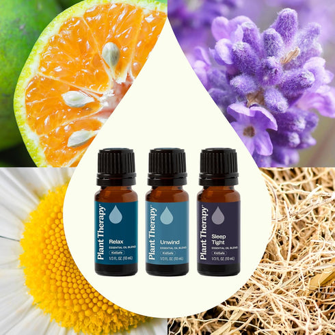 Set 10 mL (1/3 oz) Plant Therapy Sleep Easy Essential Oil Blend Each of Relax, Sleep Tight & Unwind, Pure, Undiluted