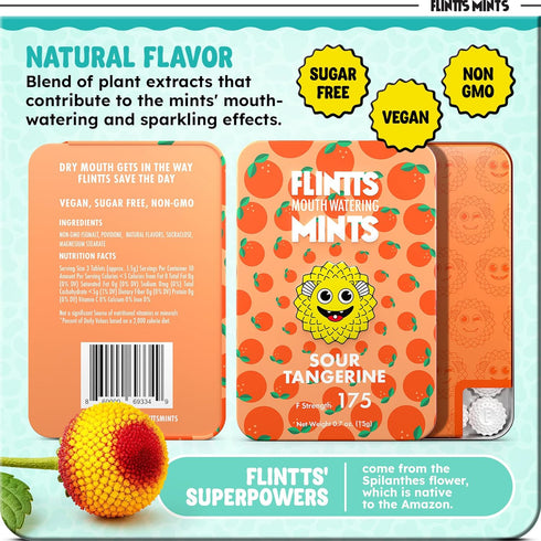 Lozenges Flintts Mints Fruit Troop Sugar Free Mouthwatering Mints for Dry Mouth Relief & Freshness Vegan Oral Health