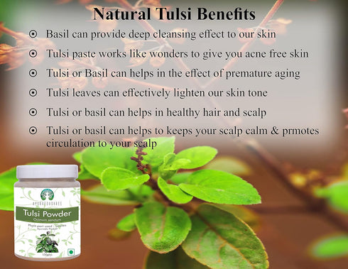 Tulsi Powder Holy Basil | 100 Gm | Vegan, Non-GMO, Gluten Free | Ocimum Sanctum Tulsi Leaves Powder