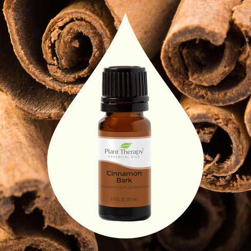 Plant Therapy Cinnamon Bark Essential Oil 10 mL (1/3 oz) 100% Pure, Therapeutic Grade