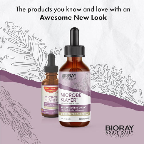 BIORAY Daily Microbe Slayer, 2 fl oz, Promotes Intestinal Microbes Balance & Nourishes The Liver
