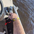 DTLgear Padded Floating Wrist Strap, Choose Your Color