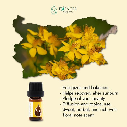 Essences Bulgaria Organic St. John's Wort Essential Oil 1/6 Fl Oz | 5ml | 100% Pure and Natural | Undiluted |