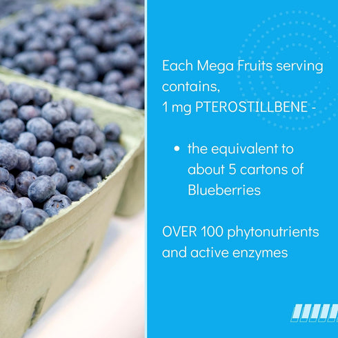 Consult Health Nature's Treasure - 60 Mega Fruit and 60 Veggie Capsules, 100% Whole Natural Superfood Nutrition