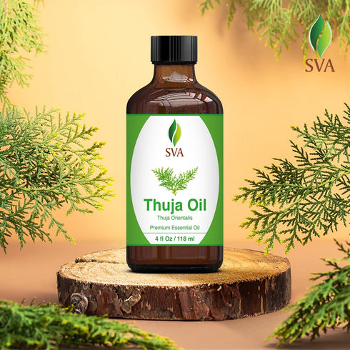 SVA Thuja Essential Oil – 4 Fl Oz, 100% Natural for Diffuser, Hair Care, Skin Care, Aromatherapy, with Dropper