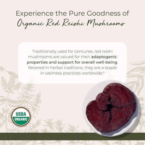 Starwest Botanicals Red Reishi Mushrooms Whole Organic, Dried Reishi Mushrooms for Herbal Tea, 4 oz Pouch
