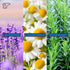 TheraICE Rx Soothing Head Stick 10 ml (.33-Oz) Essential Oil Roll on Aromatherapy: Peppermint, Lavender, Eucalyptus