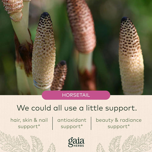 Gaia Herbs Hair, Skin & Nail Support, 60 Vegan Liquid Phyto-Capsules for Healthy Skin, Hair & Nail Growth