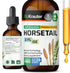 Horsetail Tincture, Organic Horsetail Herb for Hair Growth, 2 Fl.Oz. Pure Ingredients Liquid Extract