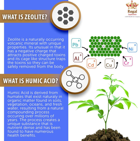 ZEOLITE–AV Capsules, Immune System Booster with Humic Acid, Restore Trace Minerals, 90 Count