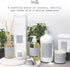 Set 8 oz K. Hall Designs Milk Scent Boxed Diffuser Kit, Creamy-Sweet Scent with Coconut & Vanilla, Reed Diffuser