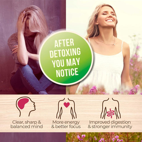 Numami Organic Detox Blueberry Smoothie Powder with Healthy Spirulina, Atlantic Dulse and Barley Grass Juice Powder