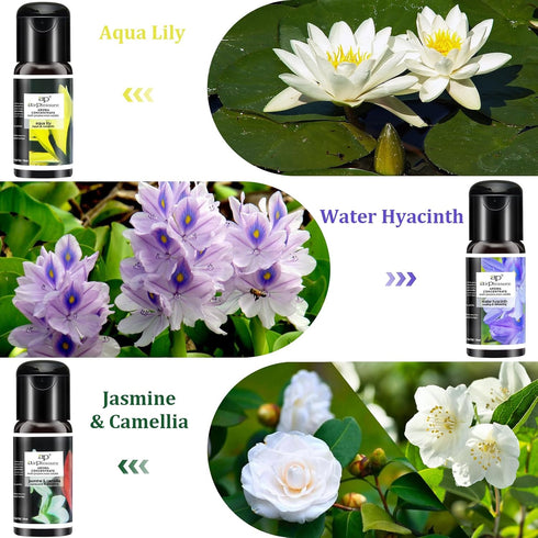 Blossom Essential Oils Set, 6x15ml Aromatherapy Oil Kit for Diffuser, Humidifier, Air Purifier