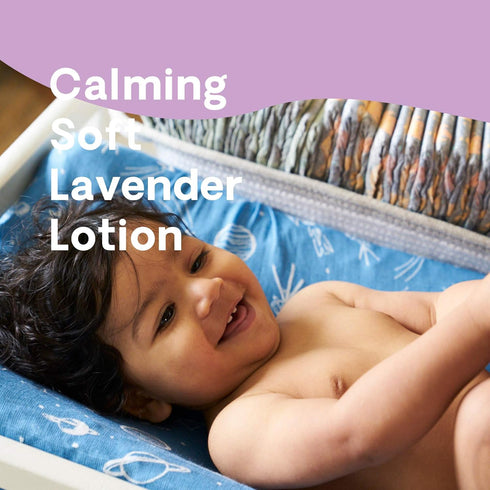 Hello Bello Soft Lavender Lotion - Single