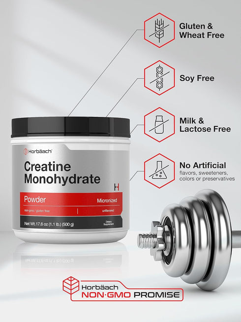 Horbaach Creatine Monohydrate Powder, 1.1lb (17.6 oz) Micronized Unflavored Vegetarian Non-GMO