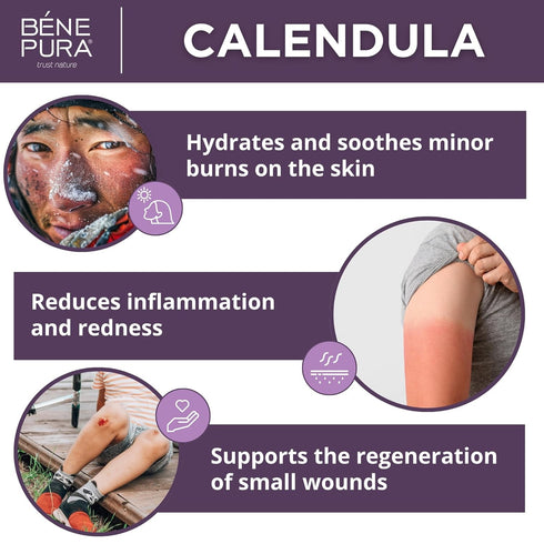BenePura Calendula Ointment, Natural Cream for Burns, Cuts, Scrapes, 1.35 fl. Oz