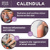 BenePura Calendula Ointment, Natural Cream for Burns, Cuts, Scrapes, 1.35 fl. Oz