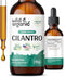 Cilantro Tincture - 2 oz Detox Cleanse with Organic Cilantro, Vegan, Alcohol-Free Drops