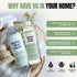 Pack 8oz 16oz All Purpose Cleaner Starter Plant-Based, Fragrance Free, Empty Refillable, Cleaning Kit with Concentrate