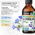 BIO KRAUTER Lobelia Tincture - Vegan Alcohol & Sugar Free Respiratory Support Supplement - 4 Fl.Oz.