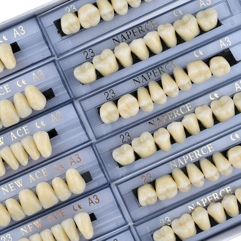 168 Pcs Dental Synthetic Resin Tooth Denture, 3 Sets False Teeth for Halloween Horror