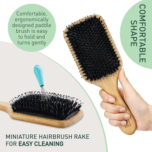 Natural Boar Bristle Hair Brush for Women, Men, Kids; Detangling Paddle Brush for Fine and Curly Hair