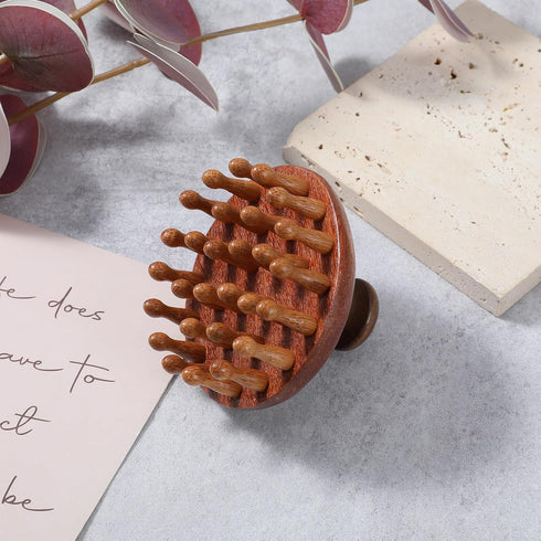 Xelsluthe Wooden Scalp Massager Head Massage Hair Brush, Manual Hair Scalp Scrubber Massager Tool, Gua Sha Brushes Body