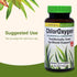 Herbs Etc. ChlorOxygen Chlorophyll Concentrate - Aids Healthy Blood Circulation - 60 Softgels