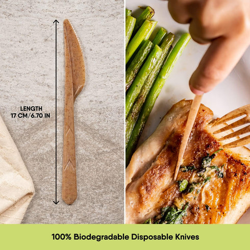 100% Biodegradable Knives Made of Vegetable Fibers, 100 PCS of 6.7” Long Heavy-Duty and Splinter Free Eco-Friendly Knives, Perfect Sustainable Cutlery for All Types of Occasions by The Veggie Straws