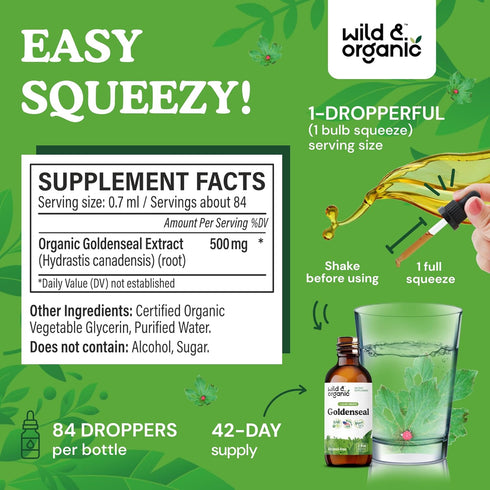 Immune 2 oz Wild & Organic Goldenseal Root Tincture - Lung Cleanse, & Digestive Support - Liquid Goldenseal Supplement