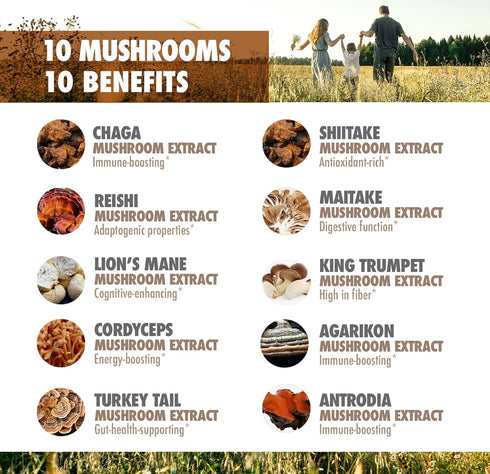 DR. EMIL NUTRITION 10 Mushroom Supplement, Functional Nootropic with Lions Mane for Mental Clarity & Immune Support