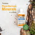 Vital Earth Minerals Fulvic Humic Mineral Blend Liquid - 32 Oz, Fulvic Acid Supplement with 70+ Trace Minerals