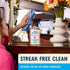 Pack 3 Aunt Fannie's Glass & Window Cleaning Bundle, Vinegar Spray and Wipes, Natural Streak-Free Spray