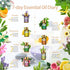 Essential Oils Gift Set | 15 x 5ml Pure Aromatherapy Oil for Skin Care, Hair Care & Diffuser