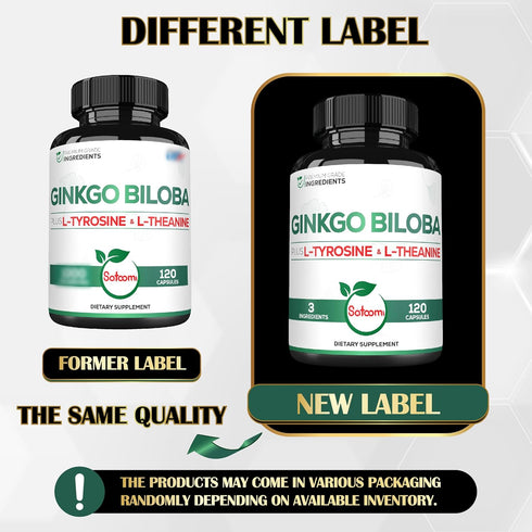 1000mg Ginkgo Biloba Supplements with L-Tyrosine & L-Theanine - 120 Capsules for 2-Month Supply, Support Focus & Memory
