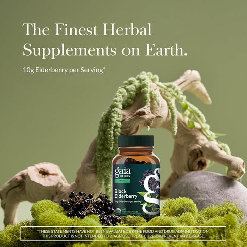 Immune 60 (30 Gaia Herbs Black Elderberry - Daily Support Supplement to Help Support Wellness - with Black Elderberries