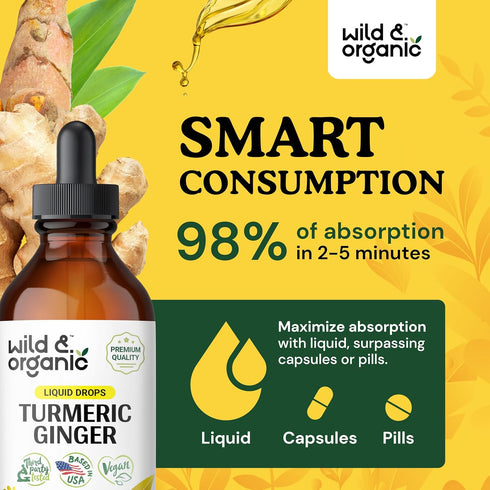 Turmeric Ginger Liquid Supplement - 4 Fl Oz, Organic Turmeric Curcumin and Ginger Tincture with Black Pepper