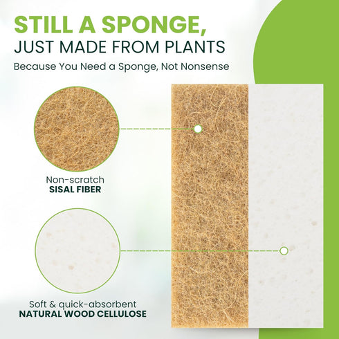 Set 12-Pack Tieralia Natural Dish Sponge Eco-Friendly & Compostable Scrubbers | Cellulose & Sisal | Non-Toxic