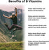Wellgenix Bio Available Daily Multivitamins (60 ct) - Focus Support Formula with Methyl B12, B6, Folate & Biotin