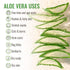 Wild Naturals 100% Pure Aloe Vera Gel with Manuka Honey, Organic Gel for Sunburn Relief, Acne, Moisturizing