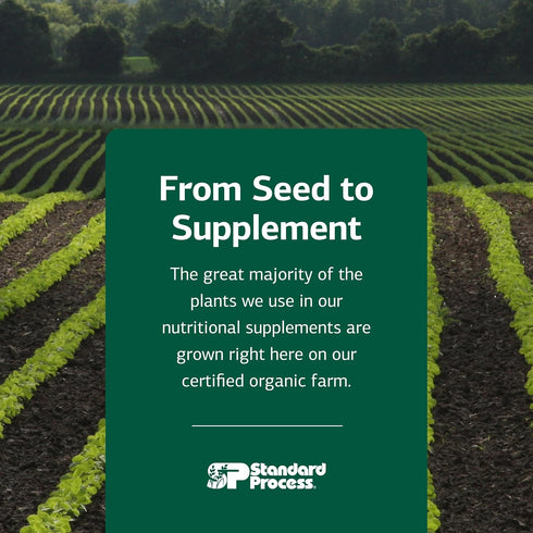 Minerals-B12 90 (90 Standard Process Trace - Thyroid & Cell Functioning Support with Iodine, Zinc & Copper - Cartilage