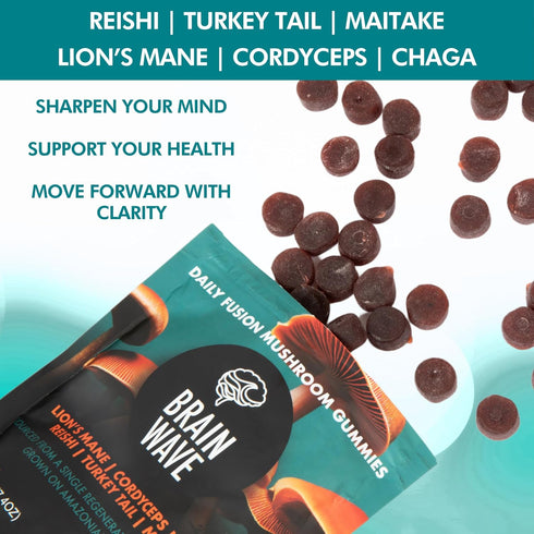 BRAIN WAVE Superfood Mushroom Gummies - Daily Multi Mushroom Supplement - Lions Mane, Reishi, Cordyceps, Turkey Tail,