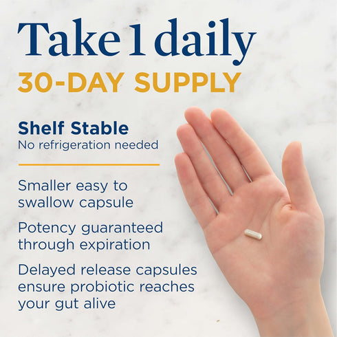 Renew Life Everyday Probiotic Capsules, 30 Count - Daily Supplement for Urinary, Digestive, and Immune Health, 15