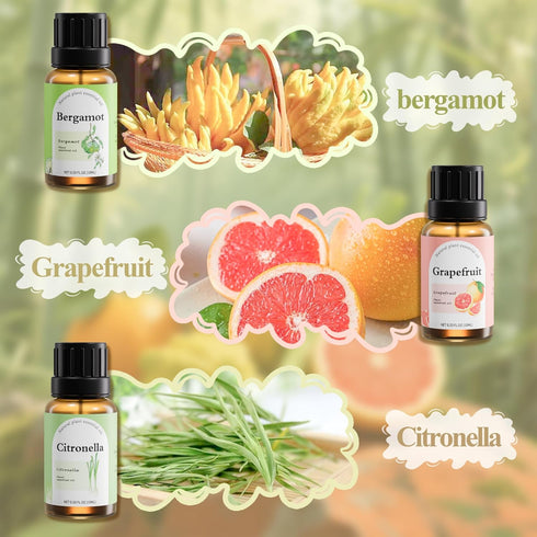 Set 100ML 6 Fashome Aromatherapy Diffuser Gift Ultrasonic Glass Essential Oil Diffuser with Auto-Off & Timer + Pure
