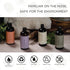 Home by Forever New Scented Liquid Laundry Detergent, Bergamot, 16 Fl Oz for Towels, Linens, Clothing