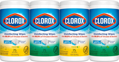 Clorox Disinfecting Wipes Value Pack, 75 Count Each, Bleach Free Cleaning Wipes, Pack of 4