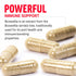 FORCE FACTOR Boswellia Extract Capsules - Immune Support Supplement and Joint Health Supplement for Women and Men, Made